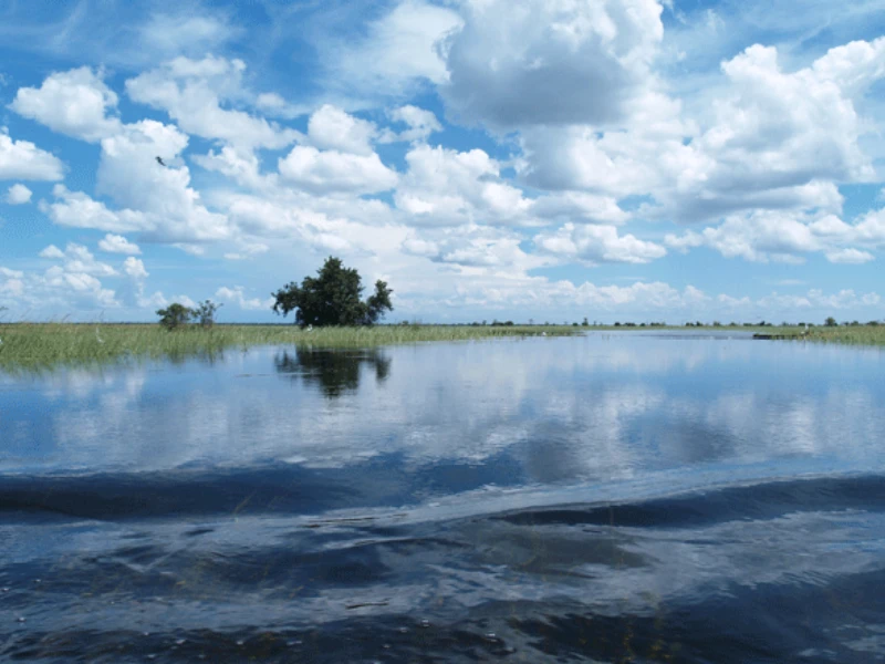Floodwater